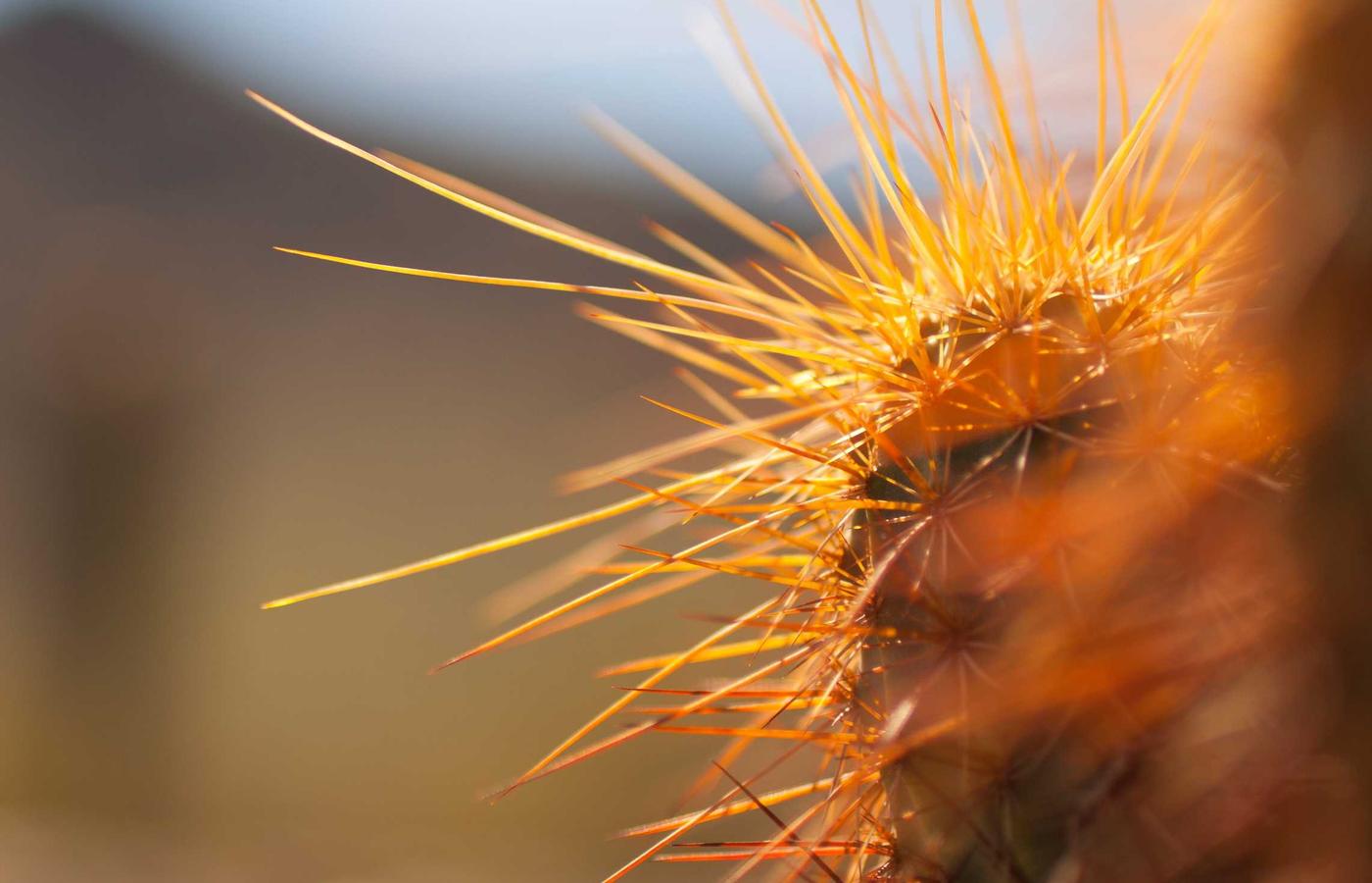 Illustration of a network of satellites in various orbits around the planet.